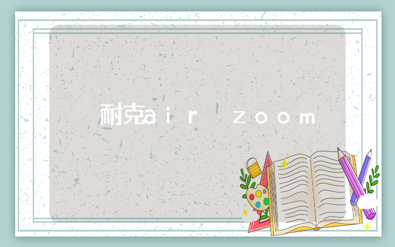 耐克air zoom插图